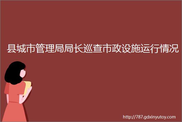 县城市管理局局长巡查市政设施运行情况